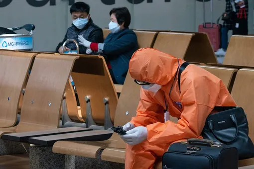 Летучие мыши ни при чём: в Китае нашли нулевую пациентку коронавируса