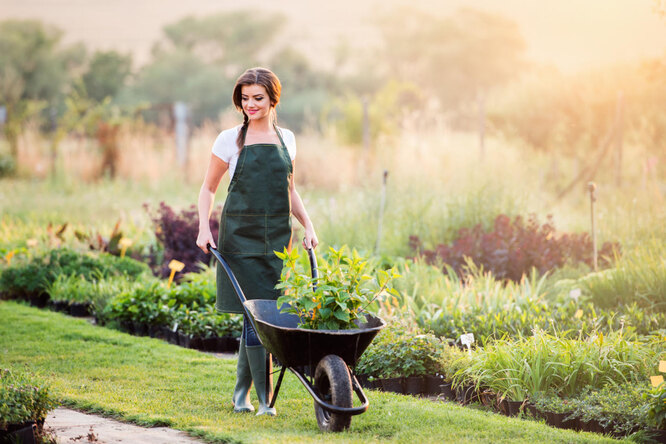 Садовая тачка или как выбрать один из основных инструментов дачника-садовода