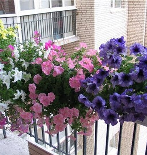 Нажми и смотри