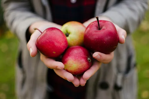 Скоро Яблочный Спас: ловите 5 рецептов необычной выпечки из яблок