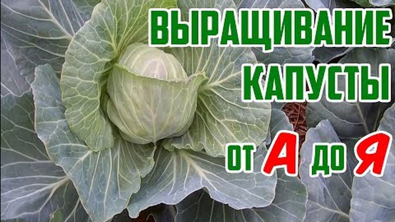 Klikněte a uvidíte