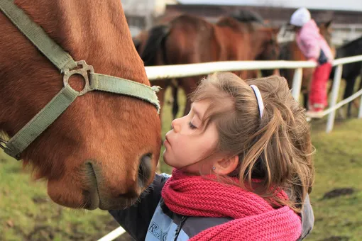 Родители разрешили лошади заходить в детскую – потому что так хочет девочка
