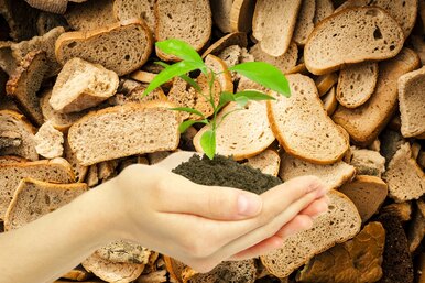 Хлеб как удобрение для растений: хитрые огородники всегда его используют