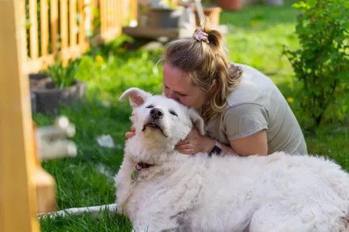 Собака спасала медсестру от стресса в пандемию, но стала «слишком тяжёлой»