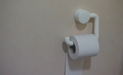 Туалетная бумага на держателе, почему нельзя долго терпеть в туалет