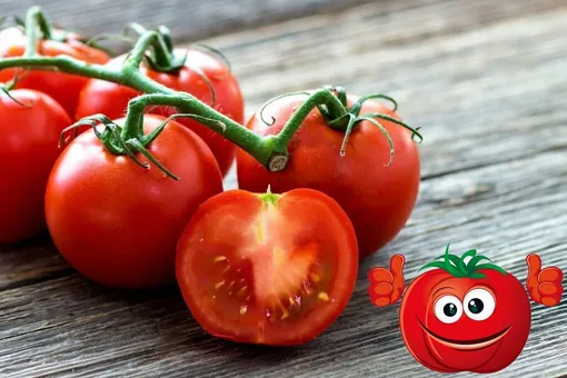 Детерминантные и индетерминантные томаты: как отличить и какие выращивать
