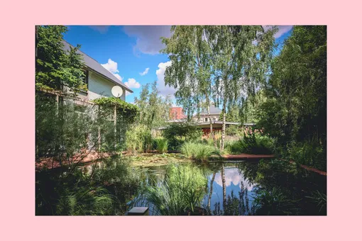 «Сонная» вишня, пруд с кувшинками и букеты с петрушкой: показываем один из лучших частных садов России