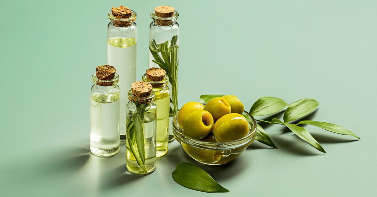 Биологическое строение оливок и их состав