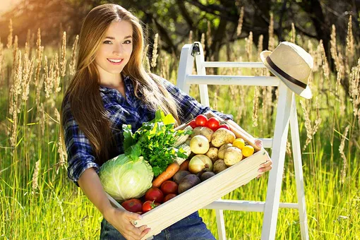 Как правильно собирать урожай овощей и фруктов