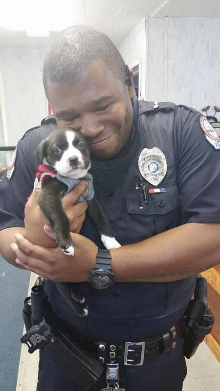 полицейский со щенком