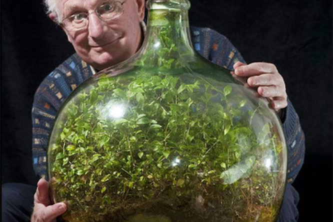 Дэвид Латимер, у которого есть теперь уже всемирная достопримечательность — «чудо–сад» в большой бутыли