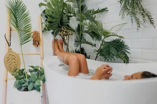 Да, так можно: 10 комнатных растений, которые подойдут для ванной комнаты