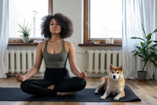 девушка медитирует на коврике для йоги с собакой