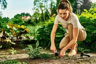 Экологическая прополка: домашние способы навести порядок в огороде