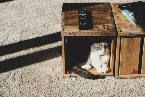 Домик для кошек своими руками из ящика