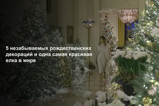 5 незабываемых рождественских декораций и одна самая красивая елка в мире (видео)