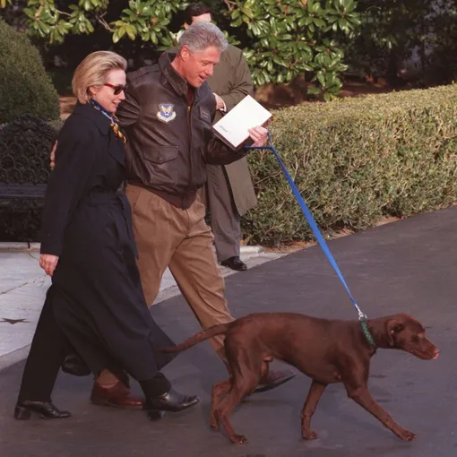 клинтон с собакой