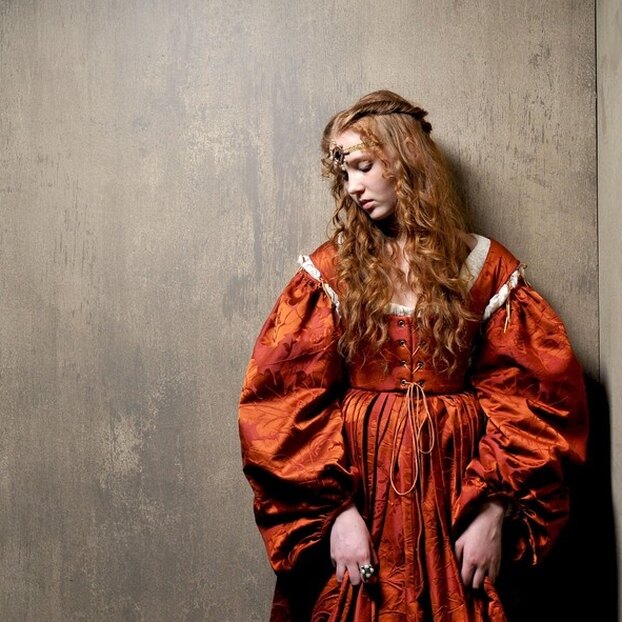 Прокладки из мха и красные юбки: как женщины в Средние века справлялись с менструациями?