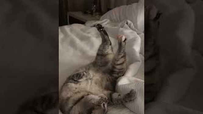 Роскошные виллы и яхты по всему миру