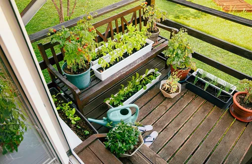 При планировании огорода на балконе учтите освещённость, температуру и другие условия