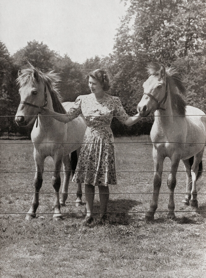 Королева Елизавета в молодости и её лошади