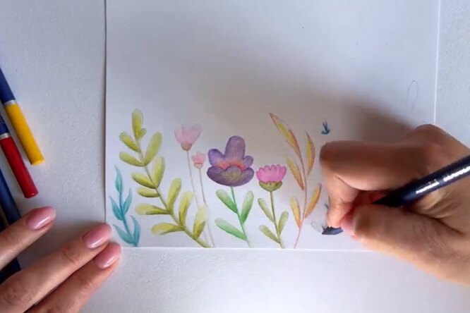 Нежные цветы: мастер-класс по рисованию акварельными карандашами с видео