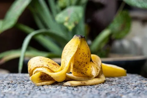 Потенциальные проблемы использования банановой кожуры в качестве удобрения