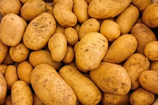 Разновидности парши картофеля
