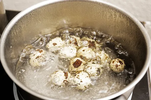 Как правильно варить перепелиные яйца: в чём и сколько по времени