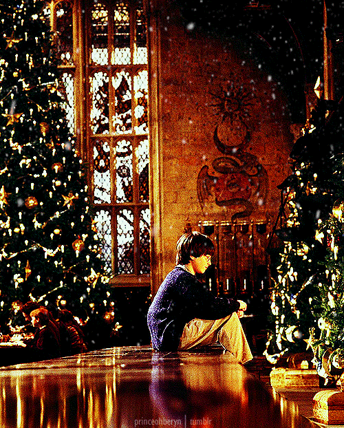 Гарри Поттер одиноко сидит среди роскошных ёлок Хогвартса