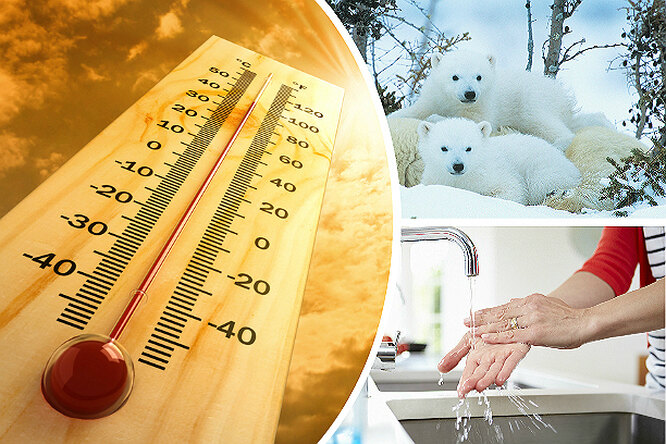 10 хитростей, которые необходимо знать, чтобы легче перенести жару