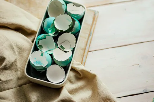 Почему нельзя выбрасывать скорлупу пасхальных яиц?