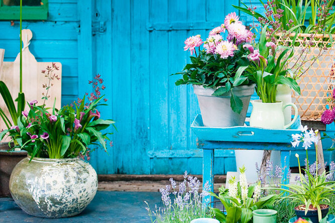 Как создать идеальный цветник на даче