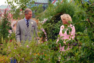 4 простых лайфхака — и ваш сад будет выглядеть как у Карла III и Камиллы Паркер Боулз