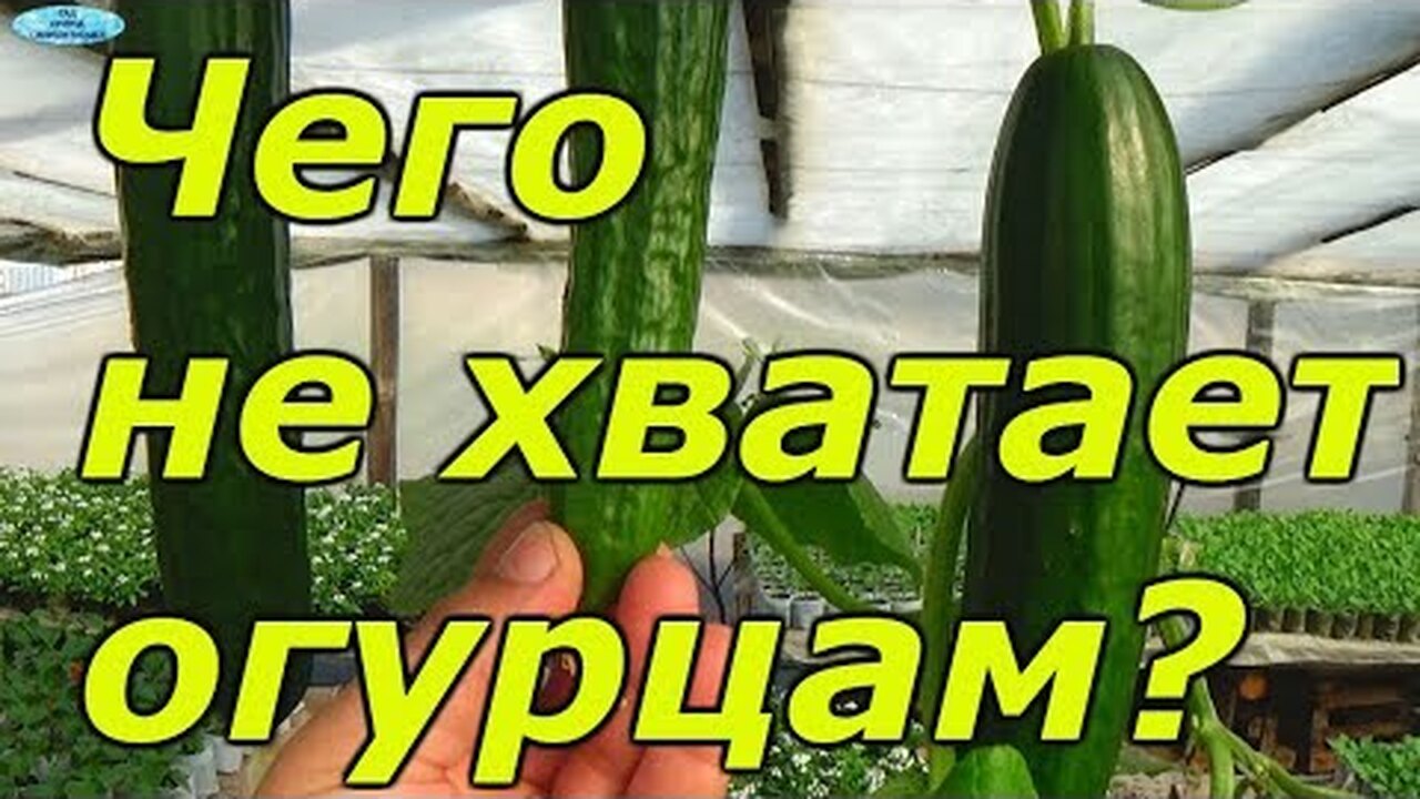 Klikněte a uvidíte