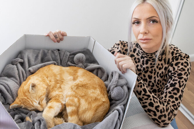 Как живой! Британка потратила 260 тысяч на создание чучела из умершего кота Как живой! Британка потратила 260 тысяч на создание чучела из умершего кота