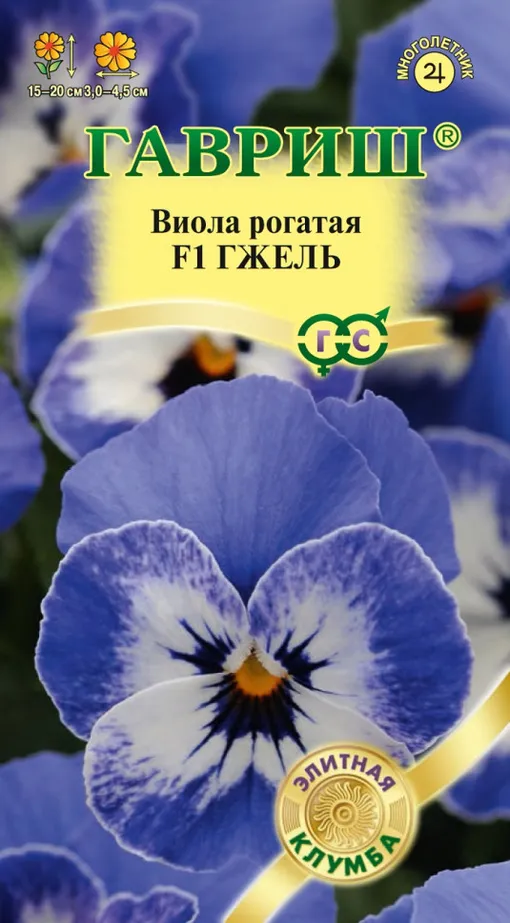 Компактные аккуратные кустики Гжели будут усыпаны довольно крупными для рогатой виолы цветками (3,0-4,5 см)