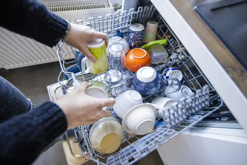 Как уничтожить бактерии и плесень в стиральной и посудомоечной машине?