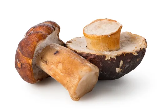 Используйте для приготовления грибной икры замороженные грибы
