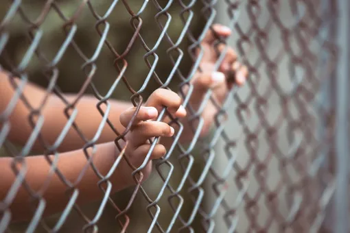 В Краснодарском крае женщина посадила в клетку четырехлетнюю дочь с ДЦП