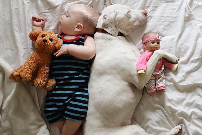 Любовь до дрожи. Собака и младенец проводят вместе все время... даже во сне