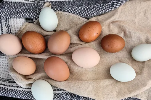 Коричневые или белые: какие яйца покупать для оливье?