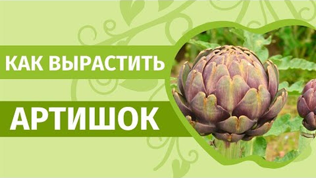 Klikněte a uvidíte