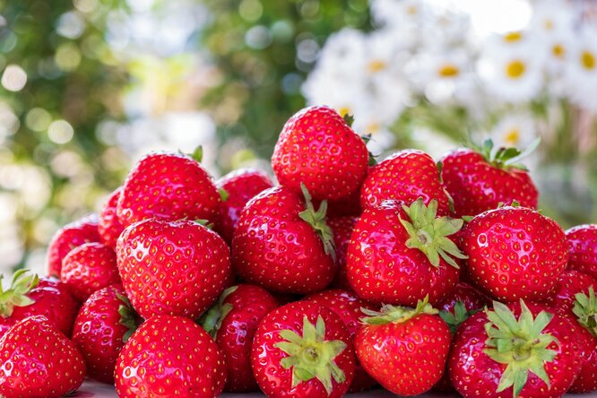 Как увеличить урожай клубники: правильный уход за ягодой для повышенияурожайности