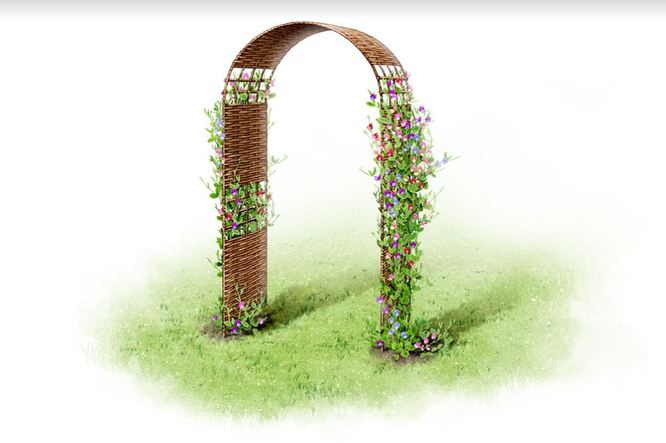 плетеная арка для сада