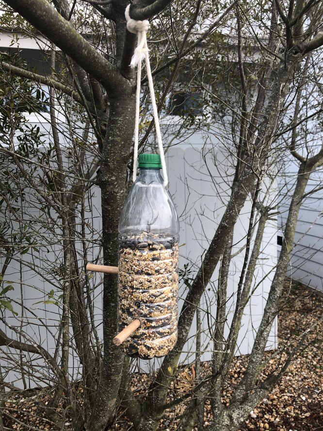 Кормушка для птиц из пластиковой бутылки на 5 литров