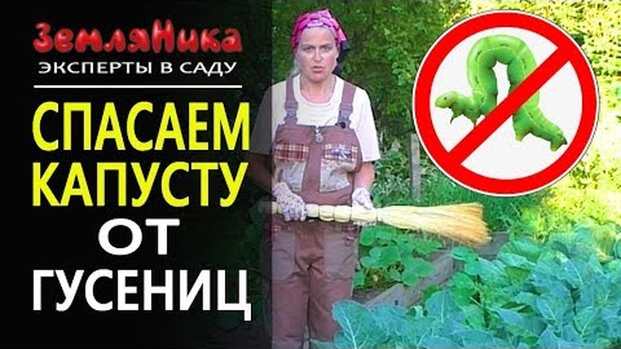 Klikněte a uvidíte