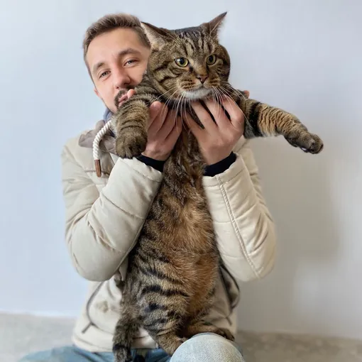Вес кота Виктора составляет 8,5 килограммов