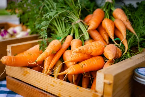 Морковь, продукты с витамином A