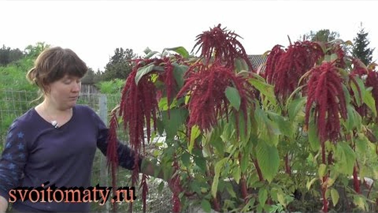 Klikněte a uvidíte